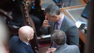 José Luis Espert y Martín Menem en la Cámara de Diputados (Foto: Federico López Claro)