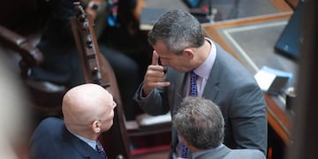 José Luis Espert y Martín Menem en la Cámara de Diputados (Foto: Federico López Claro)