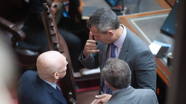 José Luis Espert y Martín Menem en la Cámara de Diputados (Foto: Federico López Claro)