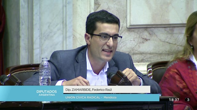El diputado mendocino UCR-Juntos por el Cambio Federico Zamarbide pidió al presidente que respete los poderes y deje de discriminar a Mendoza. Gentileza