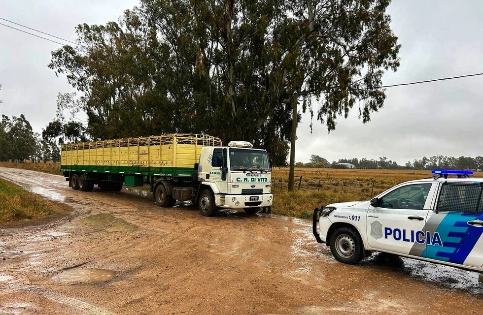 El Municipio de Chaves multó con más de 8 millones de pesos a transportistas por dañar caminos rurales