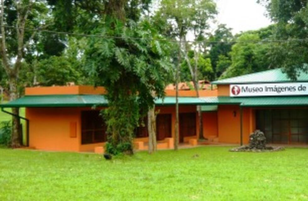 Iguazú: ya se puede recorrer el Museo Imágenes de La Selva  de manera virtual
