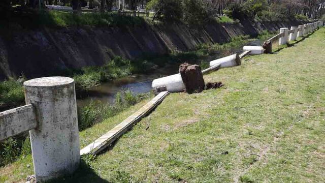 Preocupan los hechos de vandalismo en Bahía Blanca