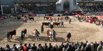 PREDIO DE LA RURAL DE PALERMO. (Archivo).