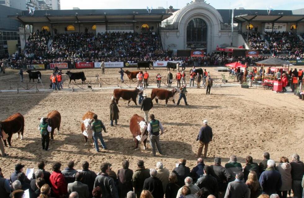 Juzgamiento de animales en las pistas