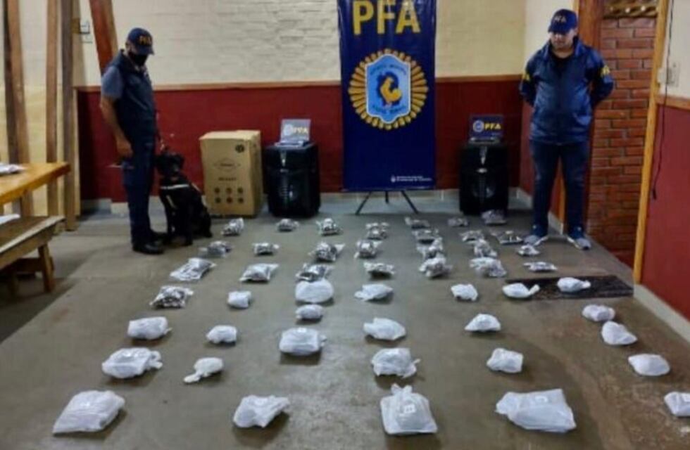 Desarticulan banda narco que operaba de Misiones a Buenos Aires