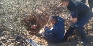 Personal policial y de bomberos ayudaron a sacar al hombre de la madriguera