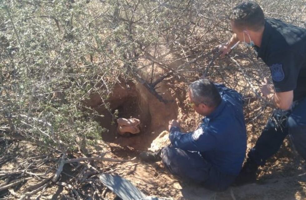 Dramático rescate de un hombre que pasó 12 horas dentro de una madriguera