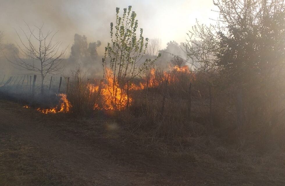Incendios en Córdoba: atraparon a un hombre que produjo la quema de media hectárea de flora nativa