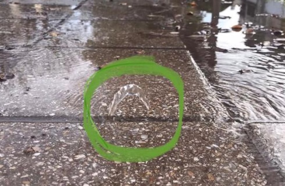 Vecinos solicitan que ABSA arregle las pérdidas de agua en Punta Alta
