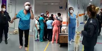 Enfermera del UPA de Longhamps, esposada.