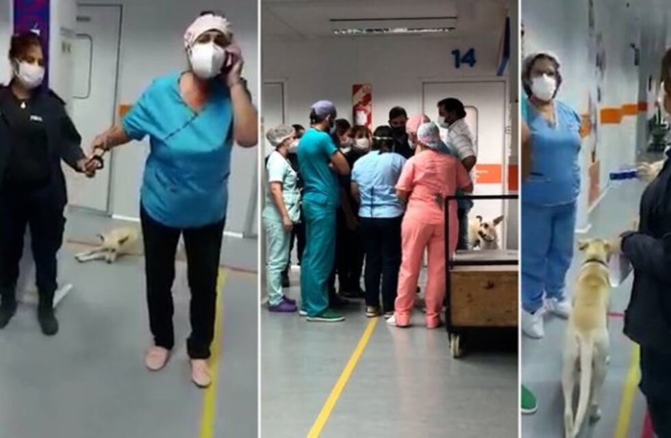 Longchamps: una policía esposó a una enfermera y denuncian abuso de autoridad