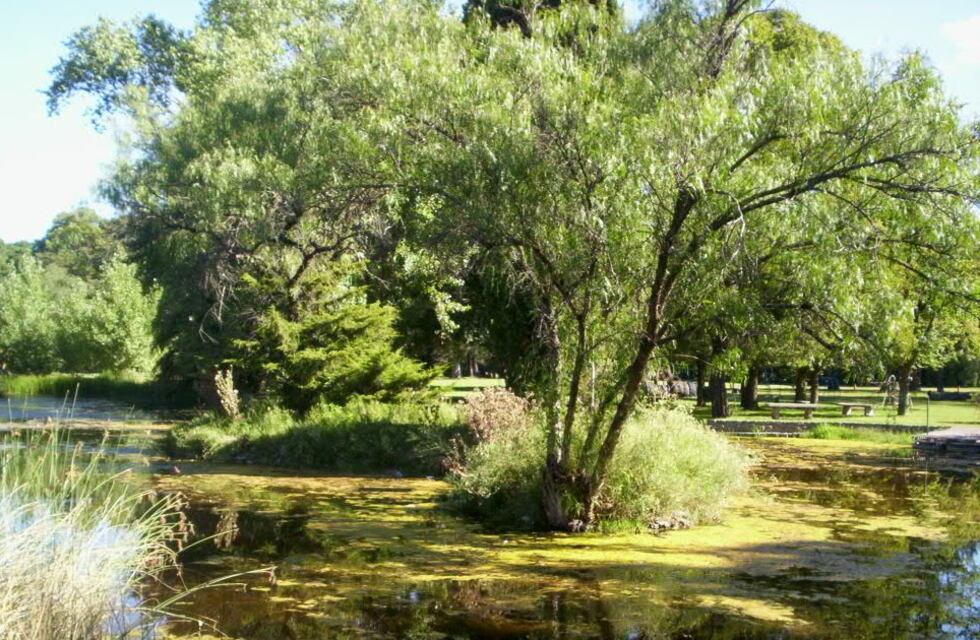 Convocatoria abierta para conformar Comisión para preseleccionar el árbol y la Flor del partido de Tres Arroyos