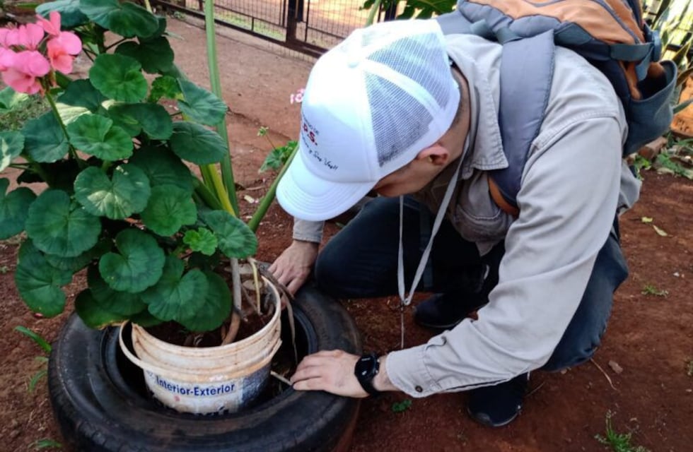 Eldorado: nueva jornada de control de vectores
