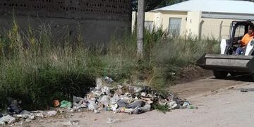 impieza y eliminación de basural clandestino