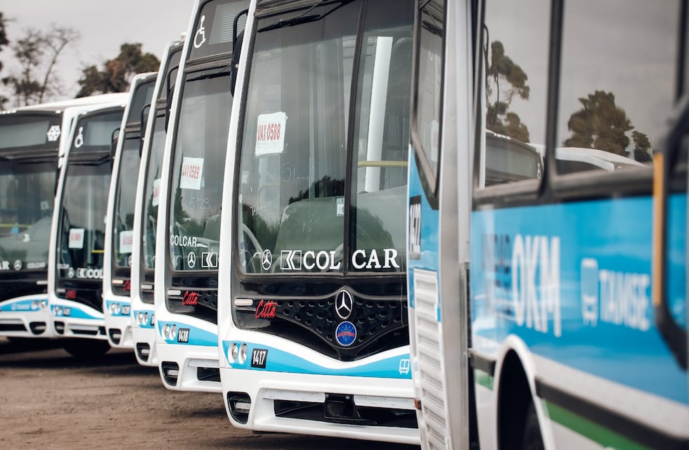 Transporte urbano de Córdoba: qué cambios habría con la llegada de una nueva empresa