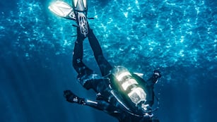 Descubrimiento histórico: un buzo grabó a una extraña medusa y desconcertó a los científicos