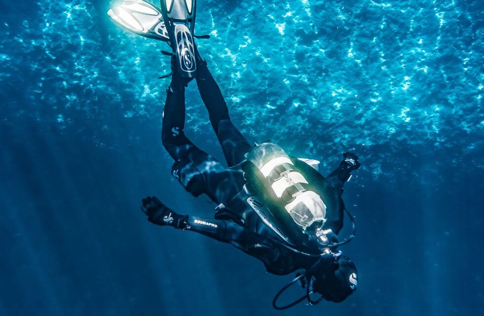 Descubrimiento histórico: un buzo grabó a una extraña medusa y desconcertó a los científicos