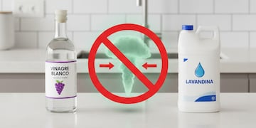 Peligro mortal: por qué nunca debés mezclar vinagre y lavandina.