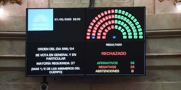 Votación de ficha limpia en el Senado (Comunicación Senado).