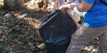 Continúan las tareas de “abordaje territorial ambiental” en barrios de Eldorado.