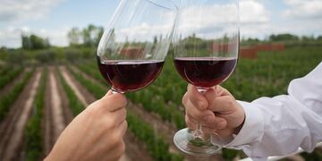 Una mendocina se filmó tomando vino para un casting y su reacción se volvió viral (imagen ilustrativa)
La Mendoza Top.
Entre Cielos Luxury Wine Hotel
degustando vino copa vino vinedos turismo
Foto: Ignacio Blanco / Los Andes