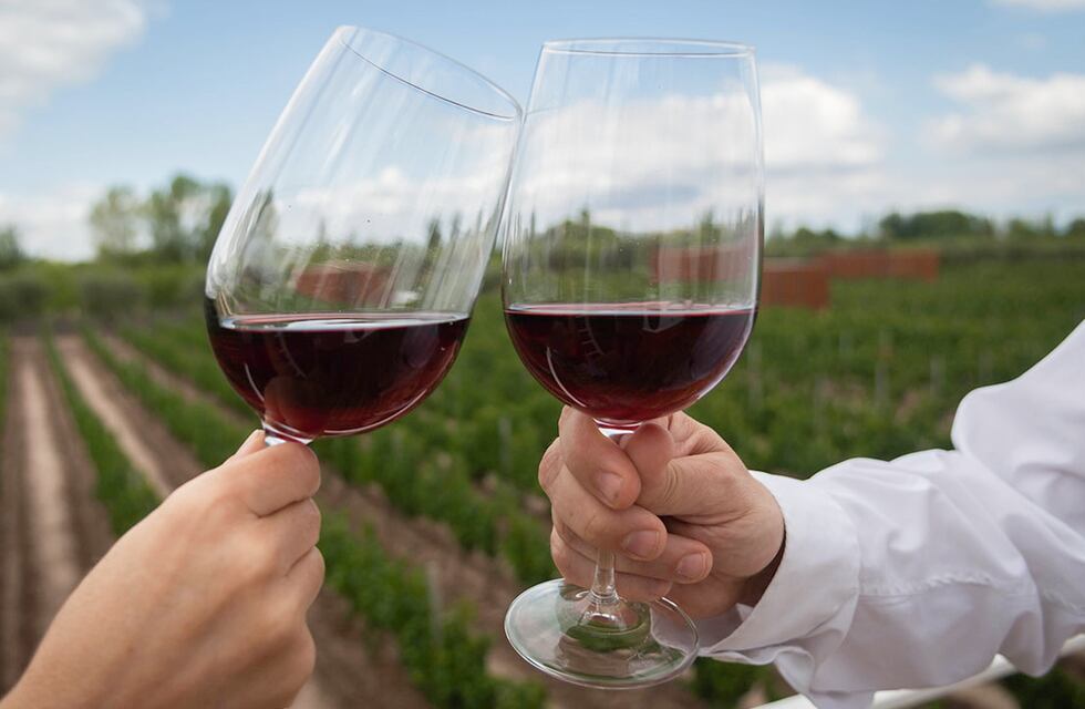 Una mendocina se filmó tomando vino para un casting y su reacción se volvió viral