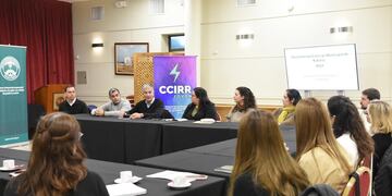 "Quien pierde?" se presentó ante la Comisión de Política Laboral del CCIRR