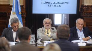 El senador Juan Carlos Pagotto (centro) en la Comisión Bicameral de Trámite Legislativo (Foto: Federico López Claro)