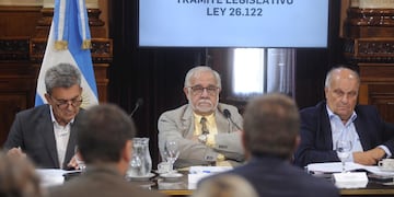 El presidente de la Bicameral de DNU, Juan Carlos Pagotto (centro). Foto: Federico López Claro
