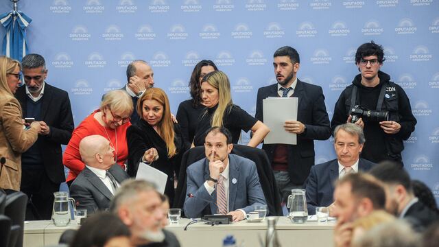 Diputados de La Libertad Avanza y la oposición dialoguista buscan consensos para reformas electorales parciales (Foto: Federico López Claro)