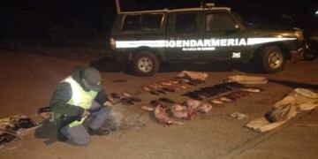 Incautan contrabando de pescados y carpinchos faenados en Cerro Azul.