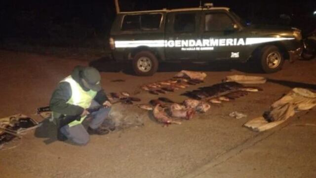 Incautan contrabando de pescados y carpinchos faenados en Cerro Azul.