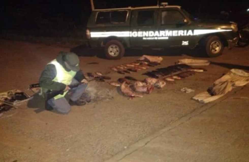 Incautan contrabando de pescados y carpinchos faenados en Cerro Azul