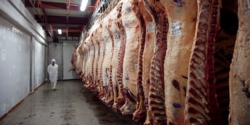El Gobierno y la Afip endurecen los controles sobre los operadores cárnicos. (Ministerio de Agricultura de la Nación)