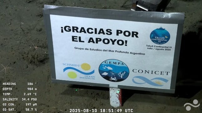 Finalizó el streaming del Conicet con récords y un emotivo pedido.