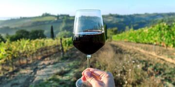 Descubrí la espectacular Ruta del Vino de San Juan