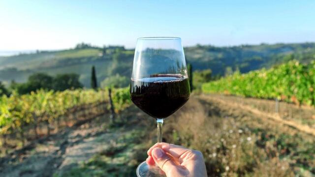 Descubrí la espectacular Ruta del Vino de San Juan