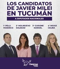Federico Pelli encabezará la lista de la Libertad Avanza en Tucumán