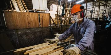 Misiones: créditos por 500 millones con tasa subsidiada para proyectos del sector primario y agroindustrial