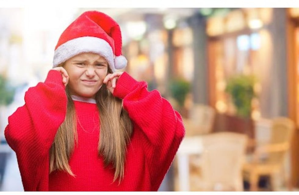 Pirotecnia Cero en Punilla: rigen estrictas multas y controles para las fiestas