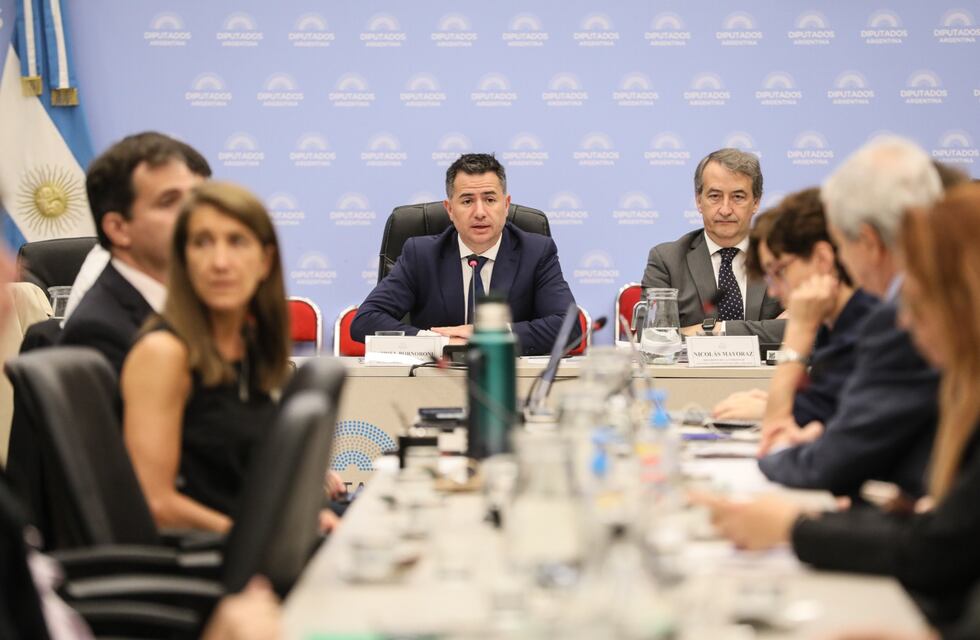 Sexta jornada de debate en comisiones de Diputados sobre la “ley ómnibus”