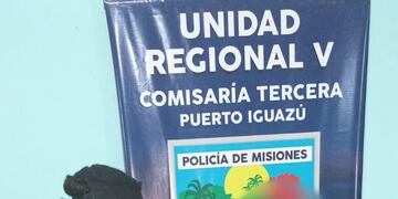 Puerto Iguazú: terminó detenido tras destrozar los vidrios de un local bailable.