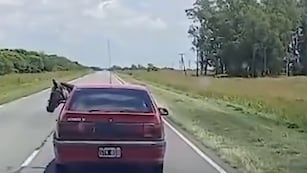 Un caballo es transportado en un auto por la ruta 17 a la altura de Marull. Foto de Instagram