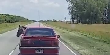 Un caballo es transportado en un auto por la ruta 17 a la altura de Marull. Foto de Instagram