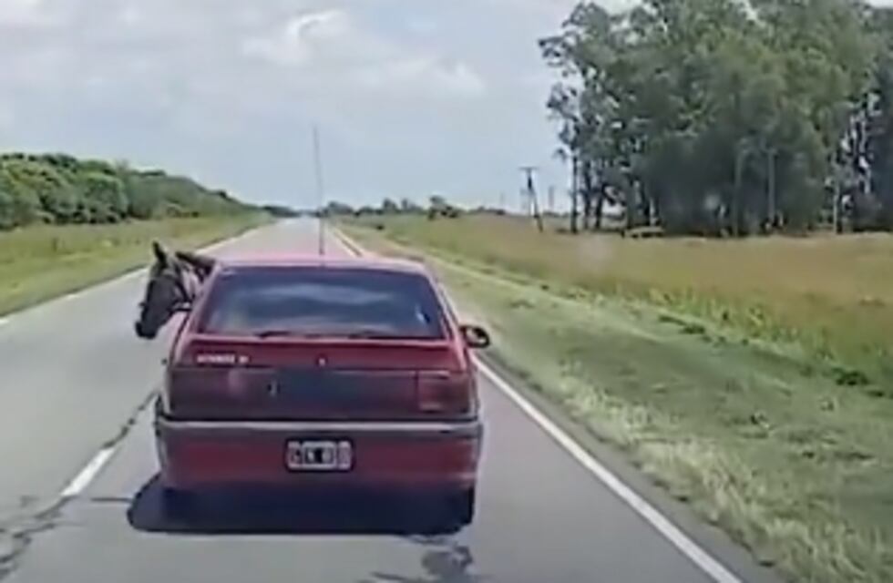 ¿Cómo hizo?: un cordobés transportó un caballo dentro de un renault 19