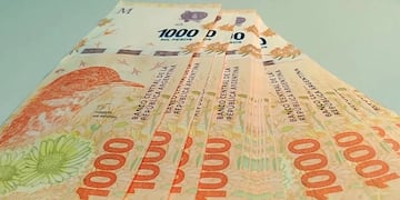 Moneda local: historia de inflación y devaluación.