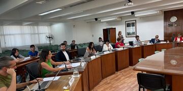 Sesión ordinaria del Concejo Municipal de Rafaela