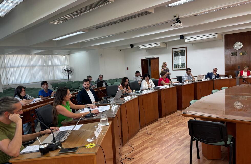 Tranquila sesión en el Concejo Municipal