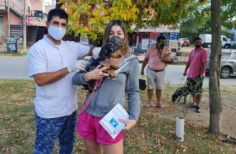 Carlos Paz: campaña de vacunación antirrábica con jornada extendidas en los barrios